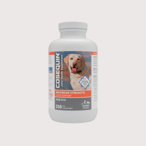 Joint Health Supplement for Dogs